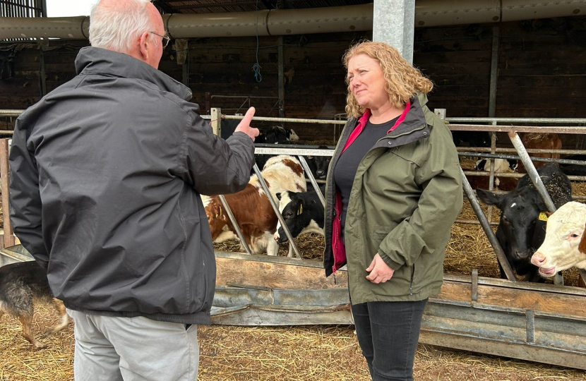 Faye Purbrick dairy farm